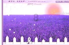 预算有限？华为nova 12全系列解析：每一款都是明智之选